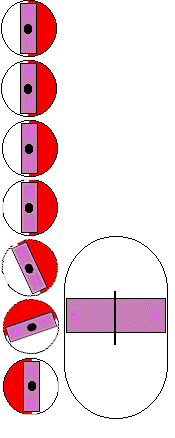 1684810944164181.gif c4.gif