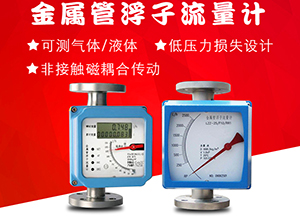 液體防腐流量計(jì)